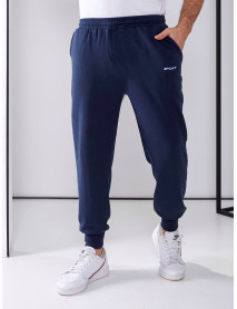 Чоловічі спортивні штани, синій, 52