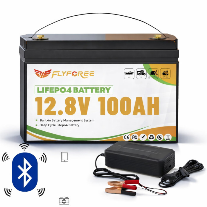 LiFePO4 100Ah 12V 1280Wh Акумулятор FLYFOREE з Bluetooth та BMS  (д.О)