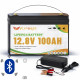 LiFePO4 100Ah 12V 1280Wh Акумулятор FLYFOREE з Bluetooth та BMS  (д.О)