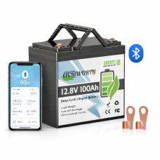 1.28 кВт Акумулятор TCBWorth Mini LiFePO4, 12V/100Ah, з Bluetooth і BMS для резервного живлення, ДБЖ, інвертора