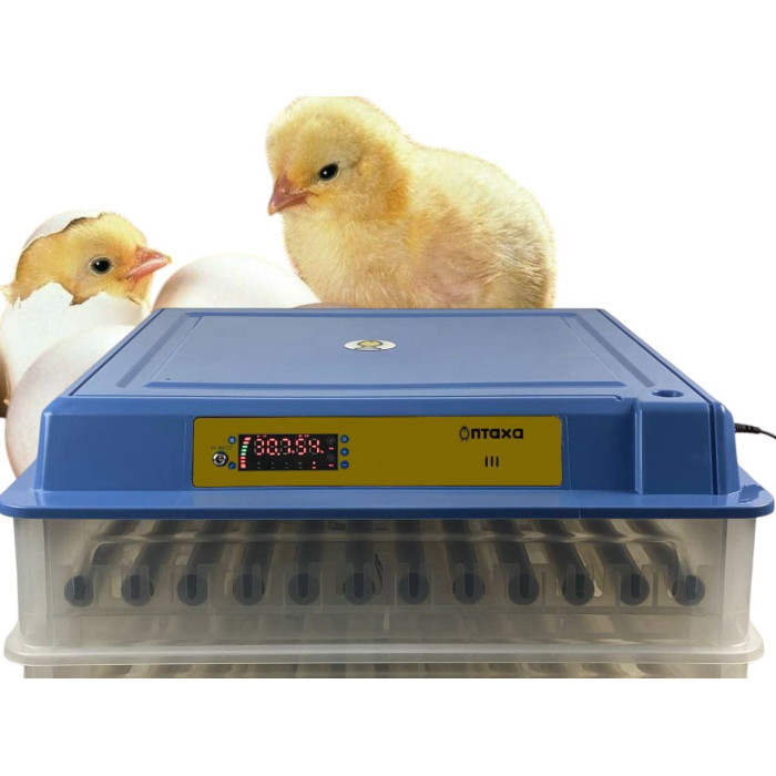 Птаха 200-В , Інкубатор, компактний, 220/12V з автоматичним переворотом яєць