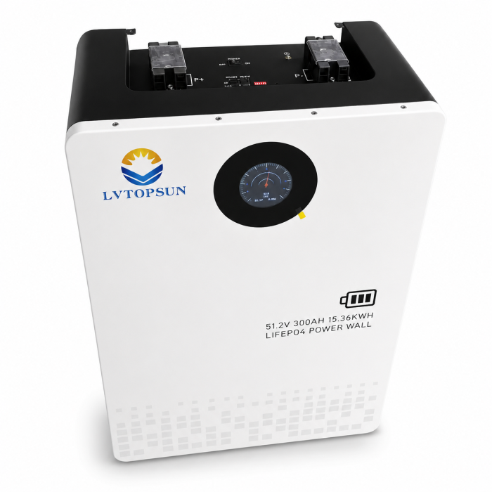 Акумулятор LiFePO4 Lvtopsun 51.2V 300Ah 15.36 кВт·год з BMS для інвертора та сонячних електростанцій