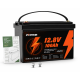 Акумулятор Powinver 12.8V 100Ah, BMS 100A, LiFePO4 для інвертора, сонячної електростанції, UPS (ДБЖ) та резервного живлення