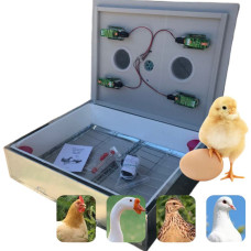 Побутовий інкубатор, у металевому корпусі, на 140 яєць, з механічним переворотом, для виводу пташенят