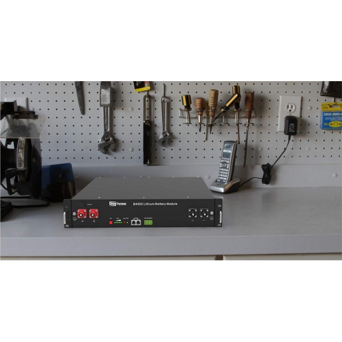 Акумулятор LiFePO4 DYNESS B4850 48v 50ah, 2.4кВт, з BMS, літій-залізо-фосфатний аккумулятор для ІБП, UPS